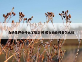 自动化行业什么工资高啊 做自动化行业怎么样