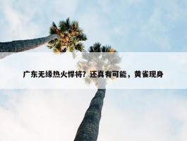 广东无缘热火悍将？还真有可能，黄雀现身