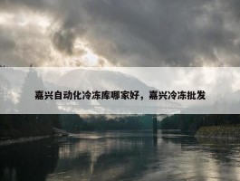 嘉兴自动化冷冻库哪家好，嘉兴冷冻批发