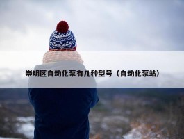 崇明区自动化泵有几种型号（自动化泵站）