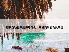 期货自动化系统保障什么，期货交易自动化系统