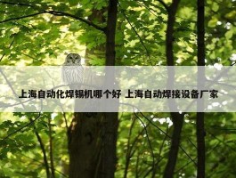 上海自动化焊锡机哪个好 上海自动焊接设备厂家