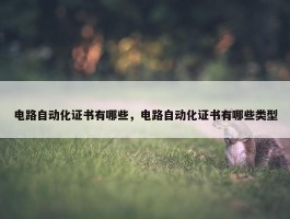 电路自动化证书有哪些，电路自动化证书有哪些类型