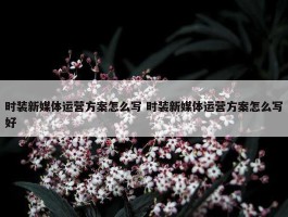 时装新媒体运营方案怎么写 时装新媒体运营方案怎么写好