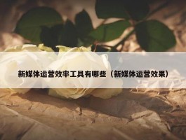 新媒体运营效率工具有哪些（新媒体运营效果）