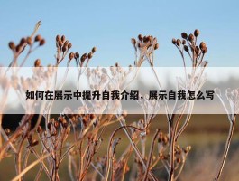 如何在展示中提升自我介绍，展示自我怎么写