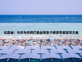 比亚迪：与华为共同打造全球首个硬派专属智驾方案