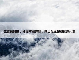 王霄被辞退，杜震宇被开除，博主发文疑似透露内幕