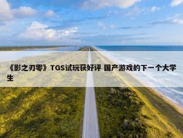 《影之刃零》TGS试玩获好评 国产游戏的下一个大学生