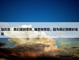 加比亚：我们感到悲伤_痛苦和愤怒，因为我们想要的是赢