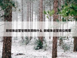 新媒体运营管理岗简称什么 新媒体运营岗位概要