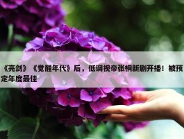 《亮剑》《觉醒年代》后，低调视帝张桐新剧开播！被预定年度最佳