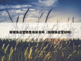 新媒体运营销售有前景吗（新媒体运营好吗）