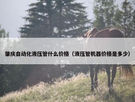 肇庆自动化液压管什么价格（液压管机器价格是多少）