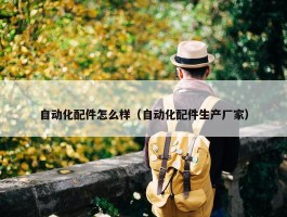 自动化配件怎么样（自动化配件生产厂家）