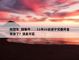 陈楚生_回春丹......12月28日遂宁又要开音乐会了？消息不实