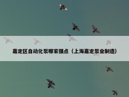 嘉定区自动化泵哪家强点（上海嘉定泵业制造）