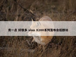 贵一点 好很多 vivo X200系列发布会后群访