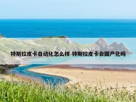 特斯拉皮卡自动化怎么样 特斯拉皮卡会国产化吗