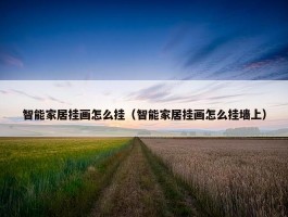 智能家居挂画怎么挂（智能家居挂画怎么挂墙上）