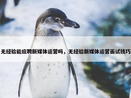 无经验能应聘新媒体运营吗，无经验新媒体运营面试技巧