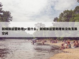 新媒体运营助理pr是什么，新媒体运营助理有没有发展空间