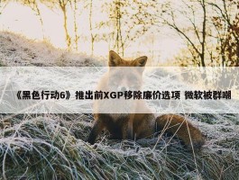 《黑色行动6》推出前XGP移除廉价选项 微软被群嘲