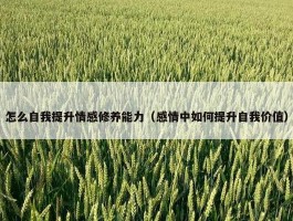 怎么自我提升情感修养能力（感情中如何提升自我价值）