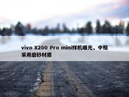 vivo X200 Pro mini样机曝光，中框采用磨砂材质