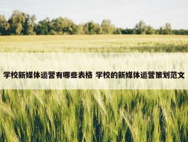 学校新媒体运营有哪些表格 学校的新媒体运营策划范文