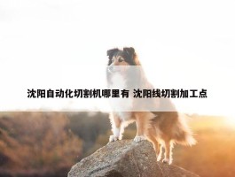 沈阳自动化切割机哪里有 沈阳线切割加工点