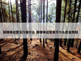 新媒体运营五行属什么 新媒体运营属于什么职业类别