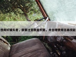 想用好猎头者，需要注意数量积累，并合理使用狂暴技能