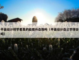 平面设计初学者真的能提升自我吗（平面设计自己学得会吗）