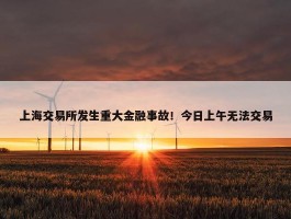 上海交易所发生重大金融事故！今日上午无法交易