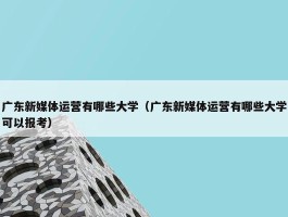 广东新媒体运营有哪些大学（广东新媒体运营有哪些大学可以报考）