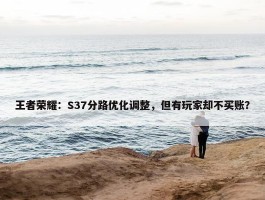 王者荣耀：S37分路优化调整，但有玩家却不买账？