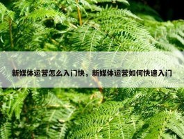 新媒体运营怎么入门快，新媒体运营如何快速入门