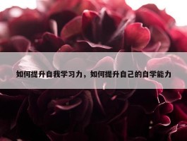 如何提升自我学习力，如何提升自己的自学能力