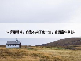 62岁梁朝伟，白发不染丁克一生，竟因童年阴影？