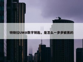 特斯拉UWB数字钥匙，是怎么一步步被黑的