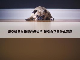 蜕变就是自我提升吗知乎 蜕变自己是什么意思