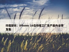 印度部长：iPhone 16在印度工厂生产面向全球发售