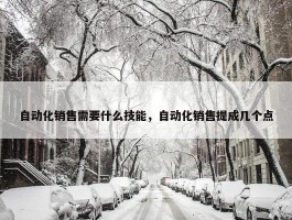 自动化销售需要什么技能，自动化销售提成几个点