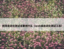 网页自动化测试主要测什么（web端自动化测试工具）