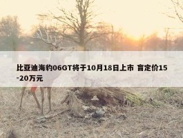 比亚迪海豹06GT将于10月18日上市 盲定价15-20万元