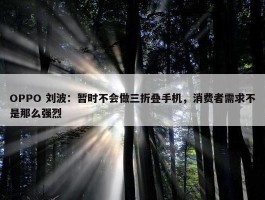 OPPO 刘波：暂时不会做三折叠手机，消费者需求不是那么强烈