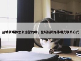 盐城新媒体怎么运营的啊，盐城新闻媒体曝光联系方式