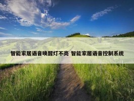 智能家居语音唤醒灯不亮 智能家居语音控制系统