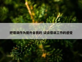 把借调作为提升自我的 谈谈借调工作的感受